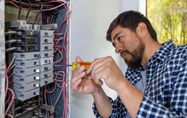 Best Electrical Panel Upgrades  in Westville, NJ